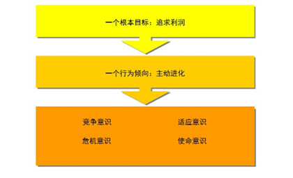 深圳团建活动,深圳拓展公司